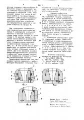 Промывочный узел бурового долота (его варианты) (патент 894172)