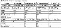 Штаммы lactobacillus brevis и lactobacillus rhamnosus с установленной последовательностью генома, синтезирующие глутатион и комплекс внутриклеточных антиоксидантов (патент 2617946)