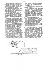 Поперечные грабли (патент 1202517)