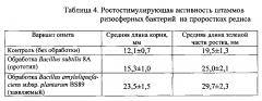 Штамм бактерий bacillus amyloliquefaciens subsp. plantarum bs89 в качестве средства повышения продуктивности растений и их защиты от болезней (патент 2599416)