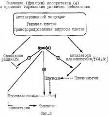 Синергичные композиции, содержащие аскорбат и лизин, для лечения состояний, связанных с деструкцией внеклеточного матрикса (патент 2268038)
