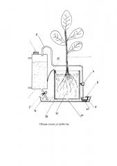 Устройство для автоматического полива растений (патент 2624951)
