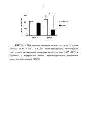 Подавление экспрессии гена c-kit в клетках нейробластом и лентивирусные конструкции, направляющие синтез shphk, специфичных в отношении данного гена (патент 2609107)