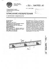 Дорожная одежда (патент 1641923)