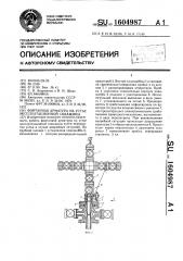 Фонтанная арматура на устье эксплуатационной скважины (патент 1604987)