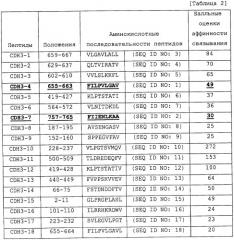 Cdh3-пептид и включающее его лекарственное средство (патент 2483078)