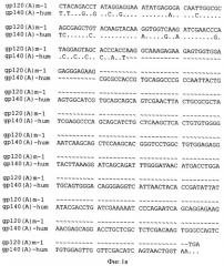 Экспрессионная плазмидная днк pbmc-gp140(a)-hum (патент 2346044)