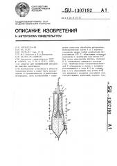 Аппарат для термической обработки сыпучих материалов (патент 1307192)