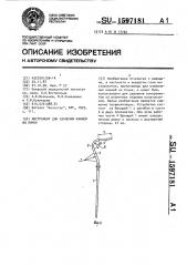 Инструмент для удаления камней из почек (патент 1597181)