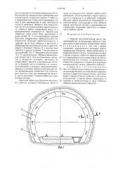 Сборная железобетонная крепь горной выработки (патент 1789709)