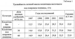 Способ выращивания козлятника восточного (патент 2264066)