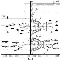 Способ привлечения и пропуска рыб с разной плавательной способностью в рыбоход (патент 2363806)
