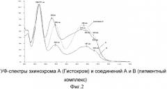 Способ переработки панциря морских ежей (патент 2441661)