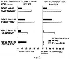 Глипикан-3 (gpc3)-производные антигенные пептиды, отторгающие опухоли, используемые для нla-a2-положительных пациентов, и фармацевтическая продукция, включающая их (патент 2395519)
