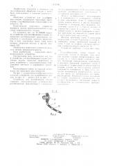 Устройство для калибрования плодов (патент 1115706)