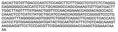 Блокирующие антитела против dkk-1 и их применения (патент 2548817)
