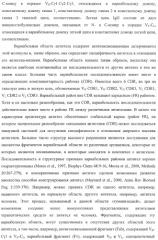 Антитело, содержащее fc-вариантную часть (варианты), фармацевтическая композиция, содержащая антитело, и способ лечения млекопитающего (патент 2390527)