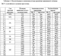 Штамм энтеровируса а71 типа субгенотипа с4, используемый для диагностики и изучения эффективности лечебно-профилактических и вакцинных препаратов (патент 2565811)