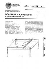 Устройство для размещения сельскохозяйственных продуктов при сушке в жарочном шкафу (патент 1281204)