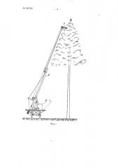 Устройство для механизированного сбора хвойных шишек (патент 85760)