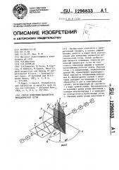 Способ измерения параметров металлической сетки (патент 1296833)