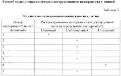 Способ моделирования острого деструктивного панкреатита у свиней (патент 2668201)