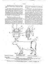 Способ фиксации крупного рогатого скота и устройство для его осуществления (патент 1750462)