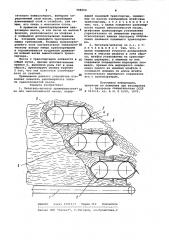 Питатель-дозатор (патент 988250)