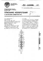 Пакер (патент 1528896)