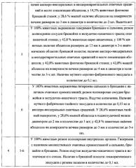 Способ моделирования отграниченного перитонита у лабораторных нелинейных мышей (патент 2567602)