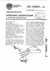 Способ фотометрической сепарации кусковых материалов (патент 1036383)