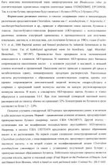 Бактерия - продуцент 1-бутанола и способ получения 1-бутанола (патент 2431672)