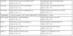 Новая гидрогеназа seq id no:5, очищенная из thermococcus onnurienus na1 с помощью моноokcида углерода, кодирующие ее гены, и способы получения водорода с использованием микроорганизма, имеющего указанные гены (патент 2460789)