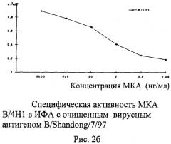 Применение моноклональных антител для идентификации ямагатской или викторианской эволюционных линий вируса гриппа типа в, штамм гибридомы 4н7 для получения моноклональных антител, предназначенных для определения вирусов гриппа в ямагатской ветви, штамм гибридомы в/4н1 для получения моноклональных антител, предназначенных для определения вирусов гриппа в викторианской ветви (патент 2491338)