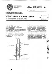 Стабилизатор расхода (патент 1095139)