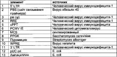 Система индикации на основе полноразмерного антитела для эукариотических клеток и ее применение (патент 2625033)