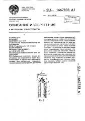 Зонд для измерения рн или эндоскопии (патент 1667833)