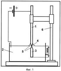 Способ получения иглы из монокристаллического вольфрама для сканирующей туннельной микроскопии (патент 2437104)