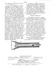 Электродное устройство (патент 929055)