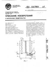 Электрошашлычница (патент 1517931)