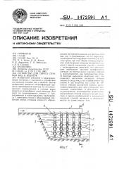 Устройство для сброса сточных вод в водоток (патент 1472591)