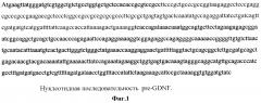 Генетические нуклеотидные последовательности искусственно модифицированного gdnf с делетированной pro-областью, продукт которых обладает повышенными свойствами нейрального индуктора и стимулятора образования нейральных отростков, пригодного для терапии нейральных травм, ишемических инсультов и нейродегенеративных заболеваний, вектор экспрессии, модифицированный gdnf (патент 2595377)
