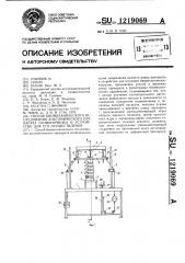 Способ биомеханического исследования анатомического препарата позвоночника и устройство для его осуществления (патент 1219069)