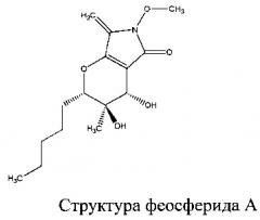 Штамм paraphoma sp. - продуцент феосферида а (патент 2596928)