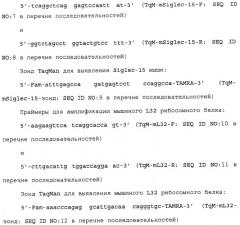 Антитело, направленное на белок siglec-15, связанный с остеокластами (патент 2475499)