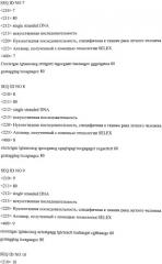 Аптамер, специфичный к опухолевым тканям легкого человека (патент 2528870)