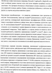 Агонисты рецептора (vpac2) гипофизарного пептида, активирующего аденилатциклазу (расар), и фармакологические способы их применения (патент 2360922)