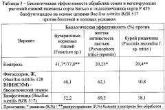 Биофунгицид для защиты сельскохозяйственных культур от болезней и повышения урожайности (патент 2621356)