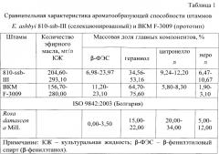 Штамм гриба eremothecium ashbyi - продуцент эфирного масла, аналогичного болгарскому розовому (патент 2567672)