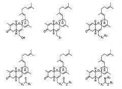 Новые соединения со спирохиральной углеродной основой, способы их получения и фармацевтические композиции, содержащие такие соединения (патент 2492173)